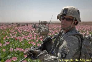 CIA: Operações Secretas, Dinheiro de Drogas 8 soldados-americanos-guardando-campos-papoula.jpg