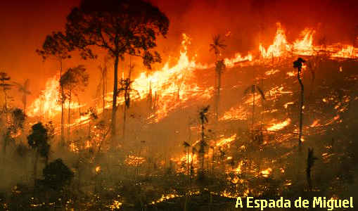 dia do fogo em pleno governo bolsonaro